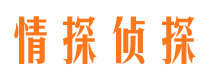 嵩明找人公司